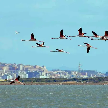 Sa Domu De Aury 5 Minutes From Poetto 아파트 콰르투 산텔레나